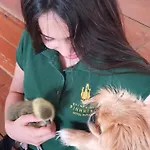 호텔 Quinta Do Pinheiro E Eventos By Grupo Quinta Dos Lagos 4*