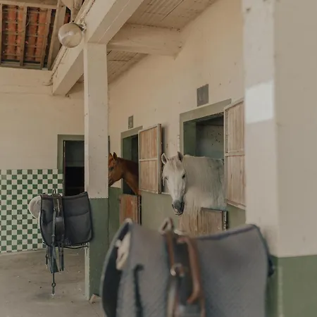 Quinta Do Pinheiro E Eventos By Grupo Quinta Dos Lagos Valado de Frades