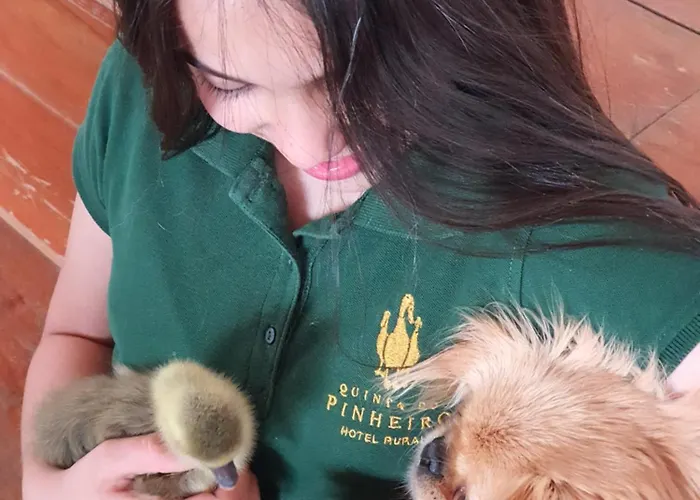 酒店 Quinta Do Pinheiro E Eventos By Grupo Quinta Dos Lagos 4*