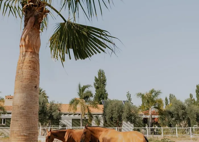 Quinta Do Pinheiro E Eventos By Grupo Quinta Dos Lagos 酒店 瓦尔杜德弗拉德斯