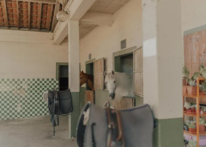 Quinta Do Pinheiro E Eventos By Grupo Quinta Dos Lagos 瓦尔杜德弗拉德斯