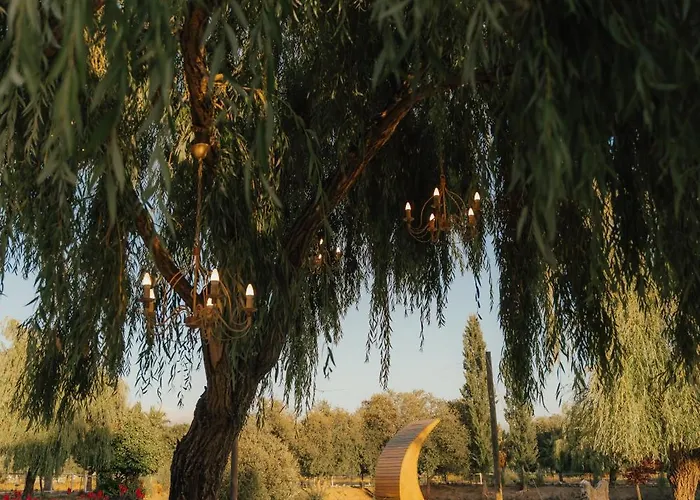 酒店 Quinta Do Pinheiro E Eventos By Grupo Quinta Dos Lagos 4*