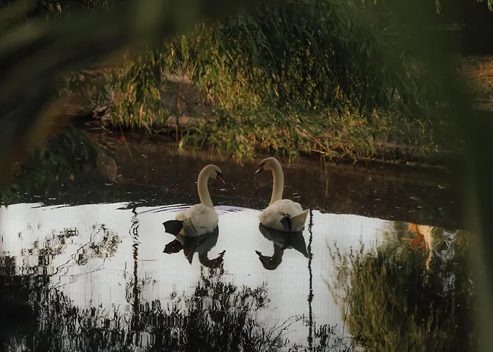 Quinta Do Pinheiro E Eventos By Grupo Quinta Dos Lagos 瓦尔杜德弗拉德斯