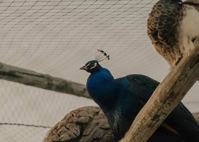 Quinta Do Pinheiro E Eventos By Grupo Quinta Dos Lagos 酒店